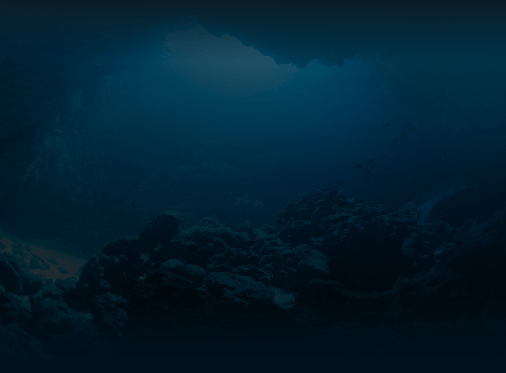 Dark underwater cave with rocky formations and dim blue lighting.