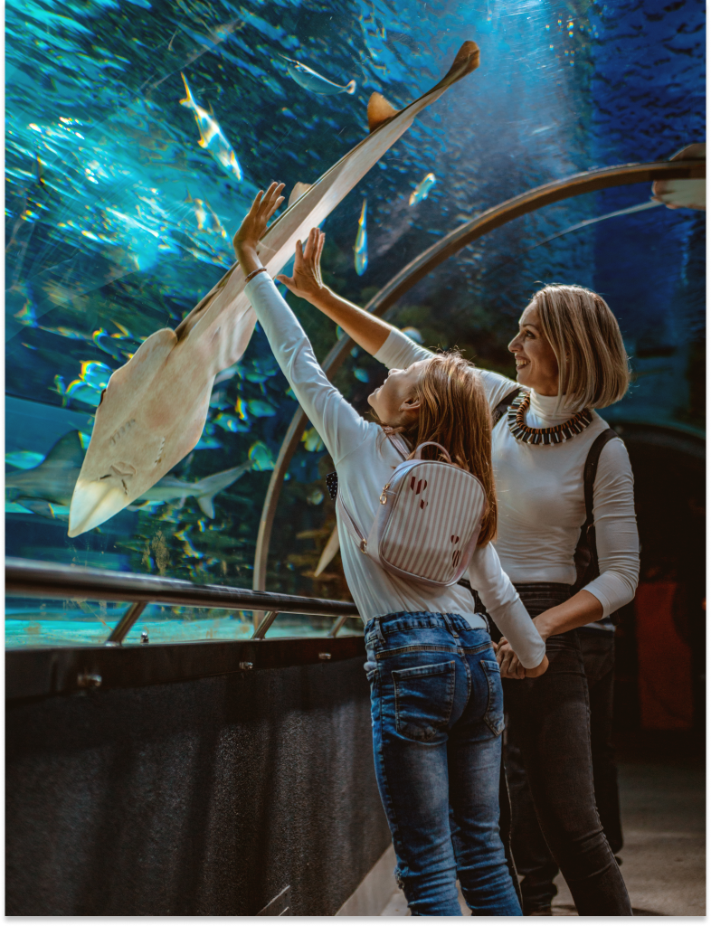 Woman and child at an aquarium touch a white sawfish through a glass tunnel.